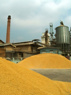 ขายกิจการโรงสีข้าว กำลังการผลิต 330 ตัน/วัน จังหวัดเพชรบุรี