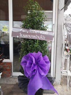 พวงหรีดต้นไม้