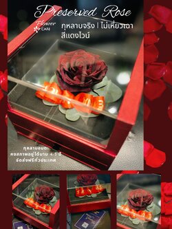 Preserved Rose กุหลาบอมตะ สีแดงไวน์