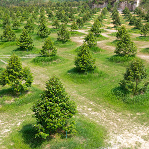 สวนเกษตรกรรม