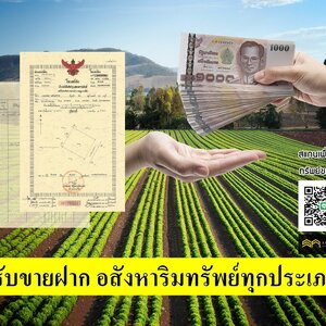 รับขายฝาก อสังหาริมทรัพย์ทุกประเภท