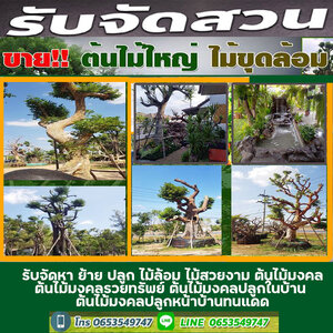 ขายส่งหินกาบโทร 065-3549747 หินแต่งสวน หินจัดสวน หินทำน้ำตก จัดหาหินธรรมชาติ หินกาบ หินมอส หินฟองน้ำ