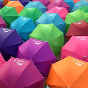 ตัวอย่างร่มสกรีน