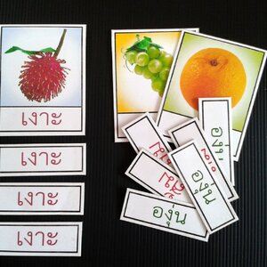 เกมจัดหมวดหมู่