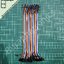 40Pin Female - Female 20 cm ( สายไฟ 40 เส้น ยาว 20 เซนติเมตร )
