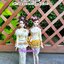่TH101ชุดไทยรัตนโกสินทร์สีเหลือง สีเหลือง