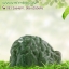กลิ่นมะกรูด (ฺBergamot)