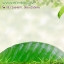 กลิ่นใบไม้เขียว (Leaves)