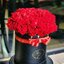 25 Roses