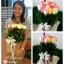 Color Full Roses