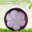 กลิ่นมังคุด (Mangosteen)