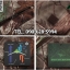 เสื้อ Jacket Tactical ลายพรางป่าไม้