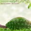 กลิ่นทุเรียน (Durian)