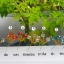 ปิ่นครัสตัลแบบกลม (9สี)