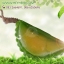 กลิ่นทุเรียน (Durian)