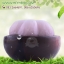 กลิ่นมังคุด (Mangosteen)
