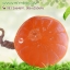 กลิ่นส้มเชือก (Orange)