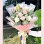 Rose 8