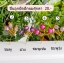 ปิ่นลูกปัดปักผมตุ๊กตา (6สี)
