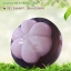 กลิ่นมังคุด (Mangosteen)