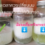คีเฟอร์นม สายพันธ์อังกฤษ Milk Kefir UK
