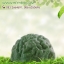 กลิ่นมะกรูด (ฺBergamot)