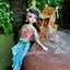 โสนน้อยเรือนงาม