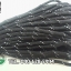 เชือกร่ม Paracord มีแถบริ้วสะท้อนแสง