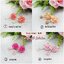 ปิ่นกุหลาบคู่ (10สี) โทนพาสเทล