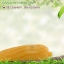 กลิ่นข้าวโพด (Corn)