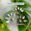 ปิ่นใบไม้ไหว (7สี)