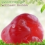 กลิ่นชมพู่ (Rose apple)