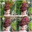 ปิ่นลูกปัดปักผมตุ๊กตา (6สี)