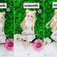 มินิสเกิร์ตเซ็ทที่2 (12สี) ลายดอกไม้
